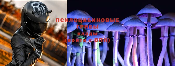 дживик Абаза