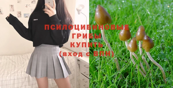 дживик Абаза