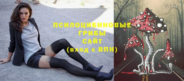 ГАЛЛЮЦИНОГЕННЫЕ ГРИБЫ Абинск