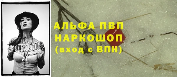 дживик Абаза