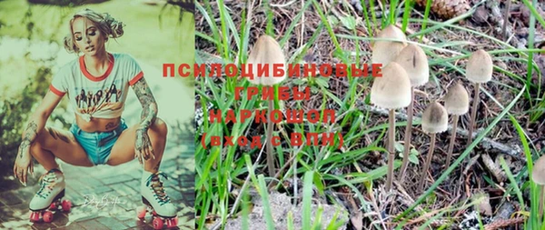 ГАЛЛЮЦИНОГЕННЫЕ ГРИБЫ Абинск