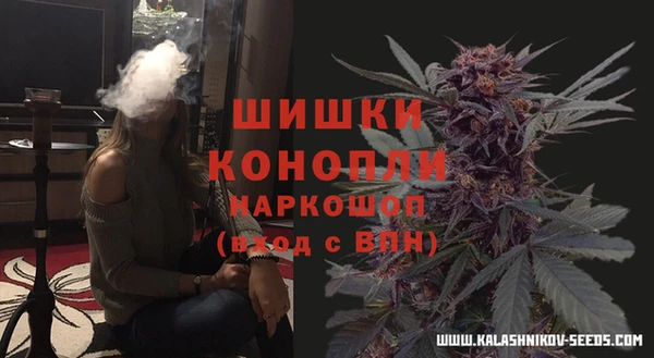 дживик Абаза