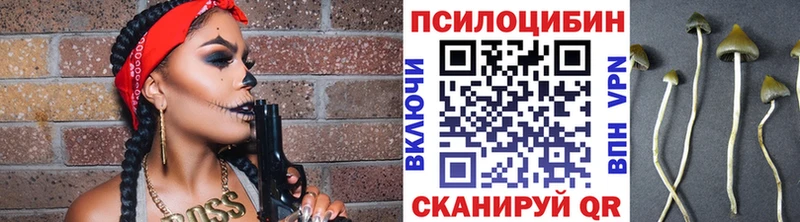 Псилоцибиновые грибы Cubensis  купить  сайты  Саянск 